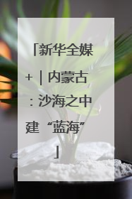 新华全媒+｜内蒙古：沙海之中建“蓝海”